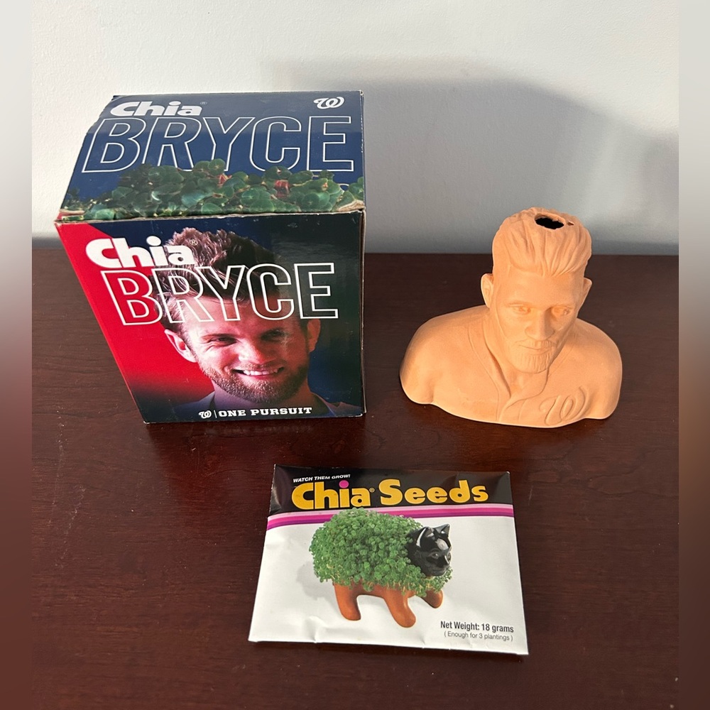 NEW Chia seeds head